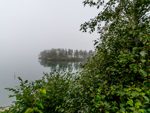 _IMG7946.jpg