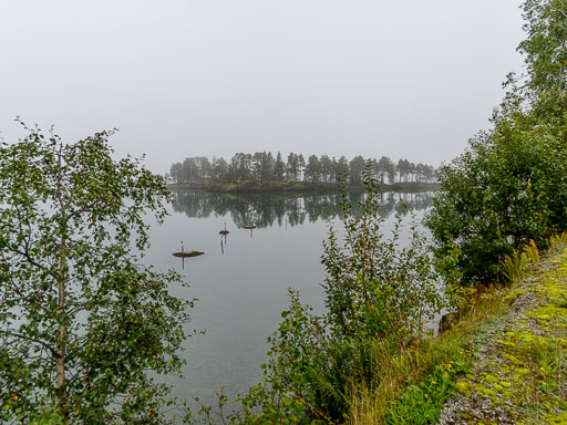 _IMG7947.jpg