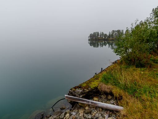 _IMG7950.jpg