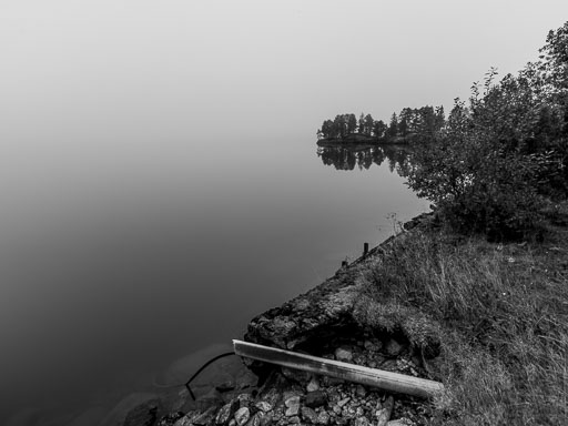 _IMG7950_v1.jpg