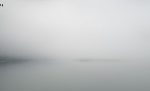 _IMG7951.jpg