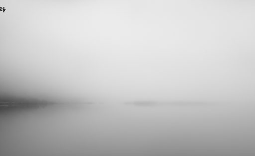 _IMG7951_v1.jpg