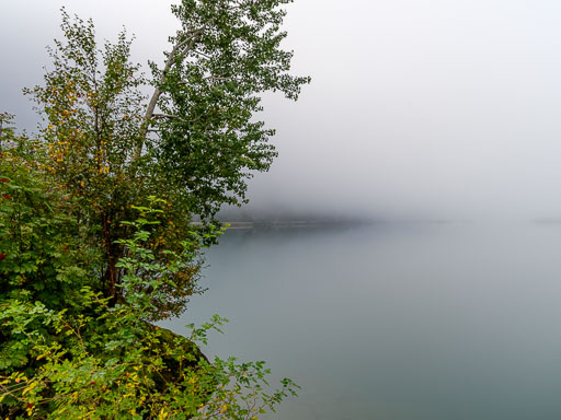 _IMG7952.jpg