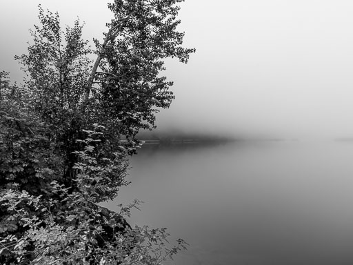 _IMG7952_v1.jpg
