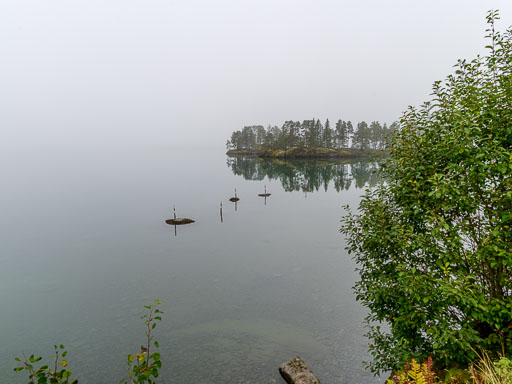 _IMG7953.jpg