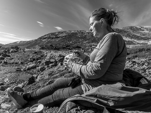 _IMG7961_v1.jpg