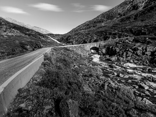 _IMG7962_v1.jpg