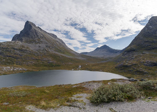 _IMG7970.jpg