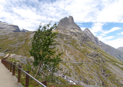 _IMG7996.jpg