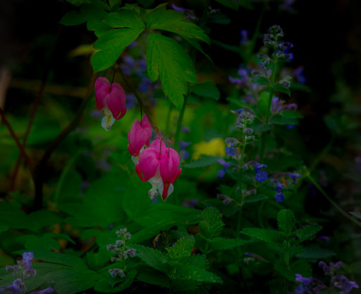 _IMG8100.jpg
