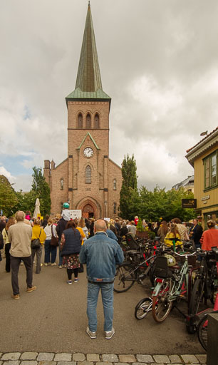 _IMG7800.jpg