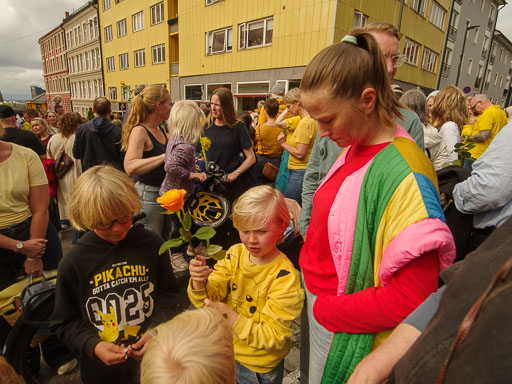 _IMG7816.jpg