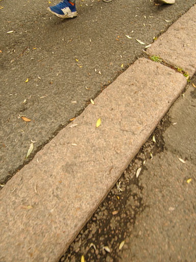 _IMG7824.jpg