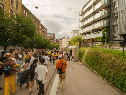 _IMG7825.jpg