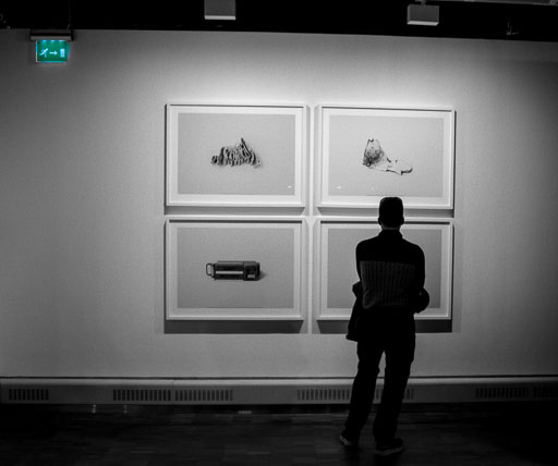 Ljosmyndasíning skoðuð
 Hero