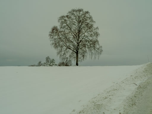 IMG "alt" Attribute