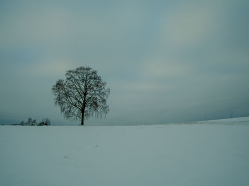 IMG "alt" Attribute