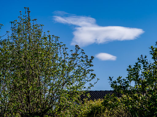 _IMG4938.jpg