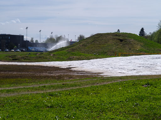 _IMG4859.jpg