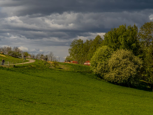 _IMG4889.jpg
