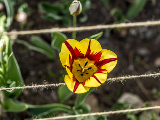 _IMG4894.jpg