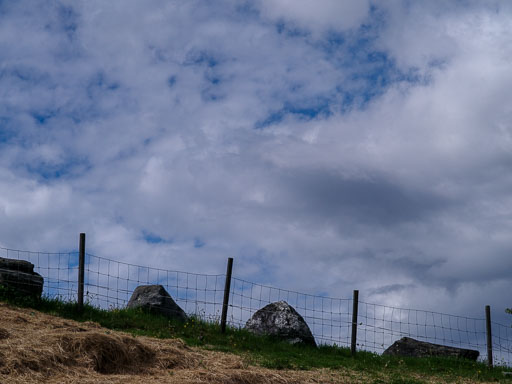 _IMG4901.jpg