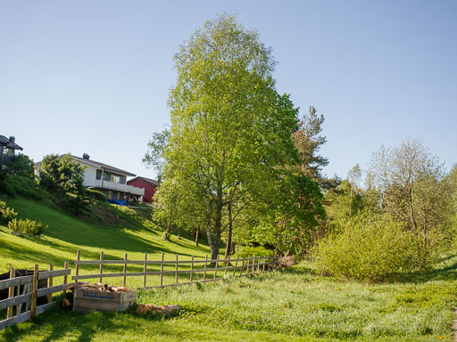 _IMG5047.jpg