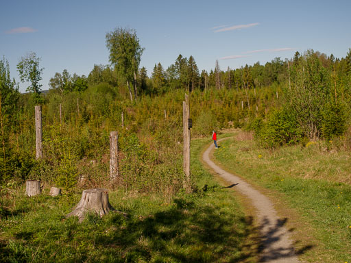 _IMG5050.jpg