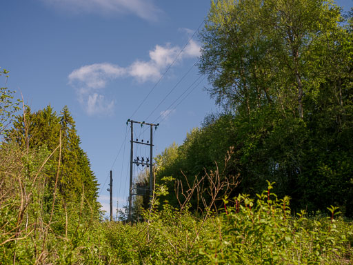 _IMG5058.jpg