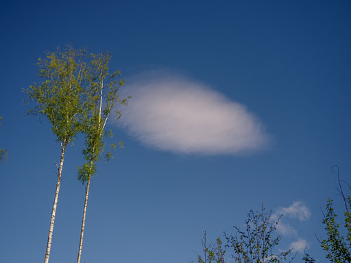 _IMG5060.jpg