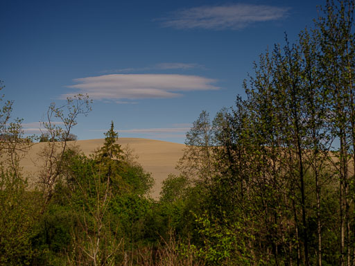 _IMG5062.jpg