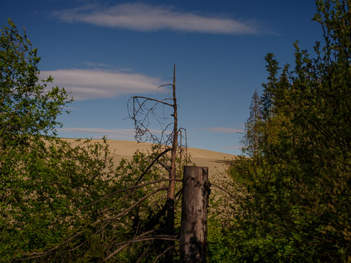 _IMG5063.jpg