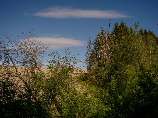 _IMG5064.jpg