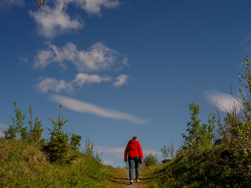 _IMG5066.jpg