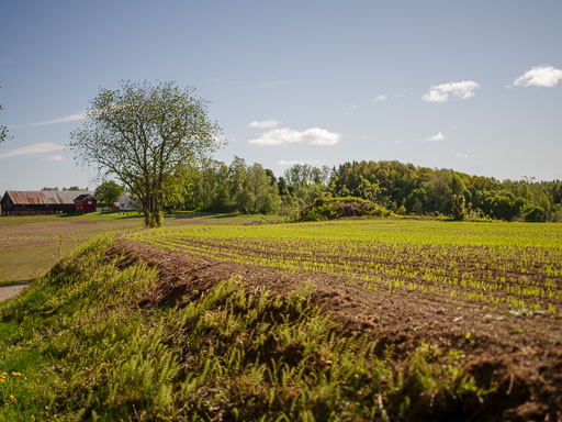 _IMG5075.jpg