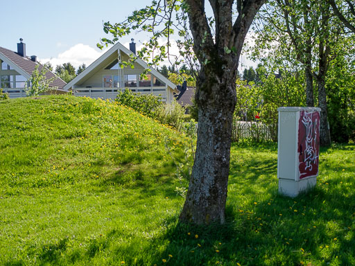 _IMG5086.jpg