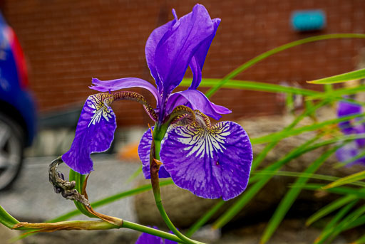 _IGP6628.jpg