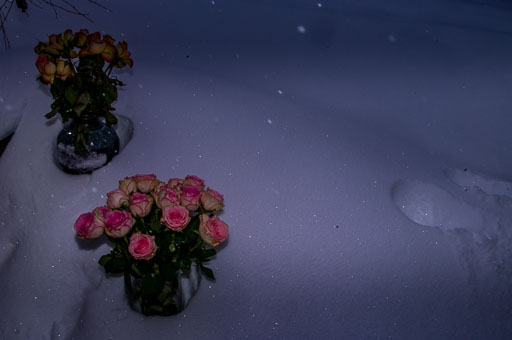 _IGP4690.jpg