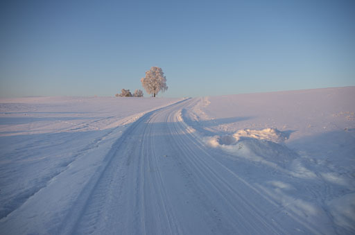 _IGP8181.jpg