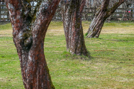 _IGP0533.jpg