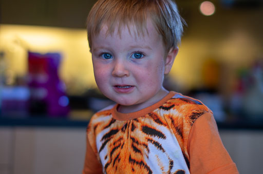 IMGP3644.jpg