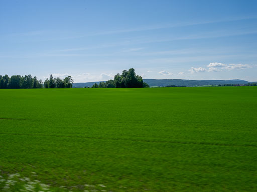 _6454279.jpg