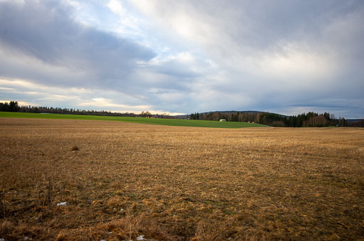 IMGP5274.jpg