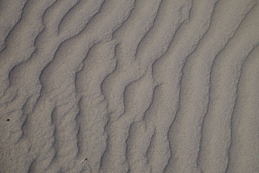 20240523-135422-K1__0184.jpg