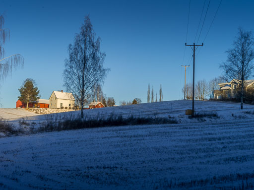 IMGP0037.jpg