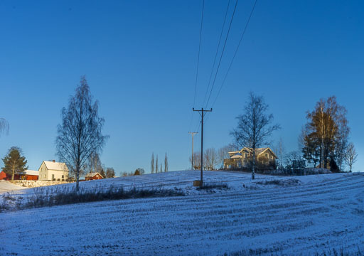 IMGP0038.jpg