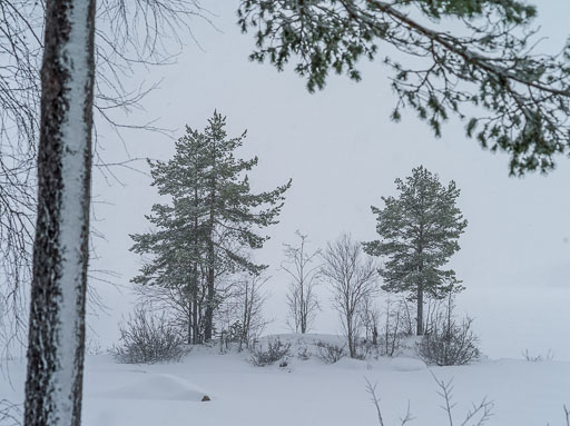 IMGP0141.jpg