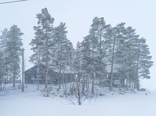 IMGP0146.jpg