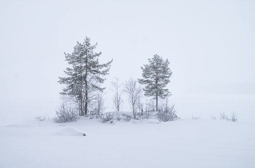 K1__2599.jpg