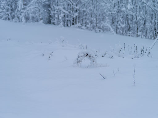 IMGP0171.jpg